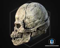 Wookie Skull - 3D Print Files 3d model