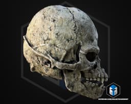 Wookie Skull - 3D Print Files 3d model