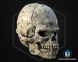Wookie Skull - 3D Print Files 3d model