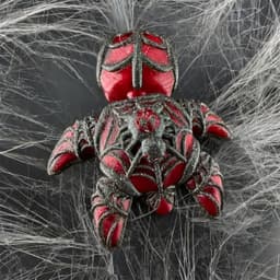 Spider Turtle 3d model