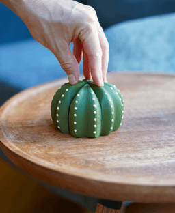 Smactus Cactus Coaster 3d model