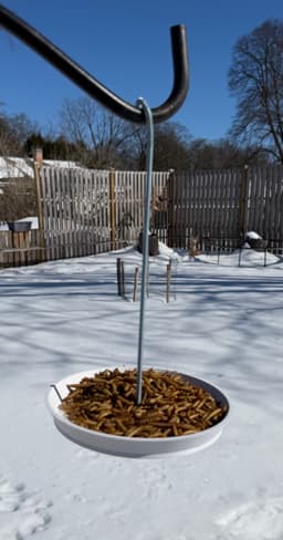 Bird feeder dish 3d model