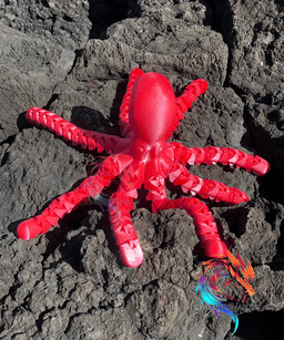 Flexi Octopus / no supports / 3mf included 3d model