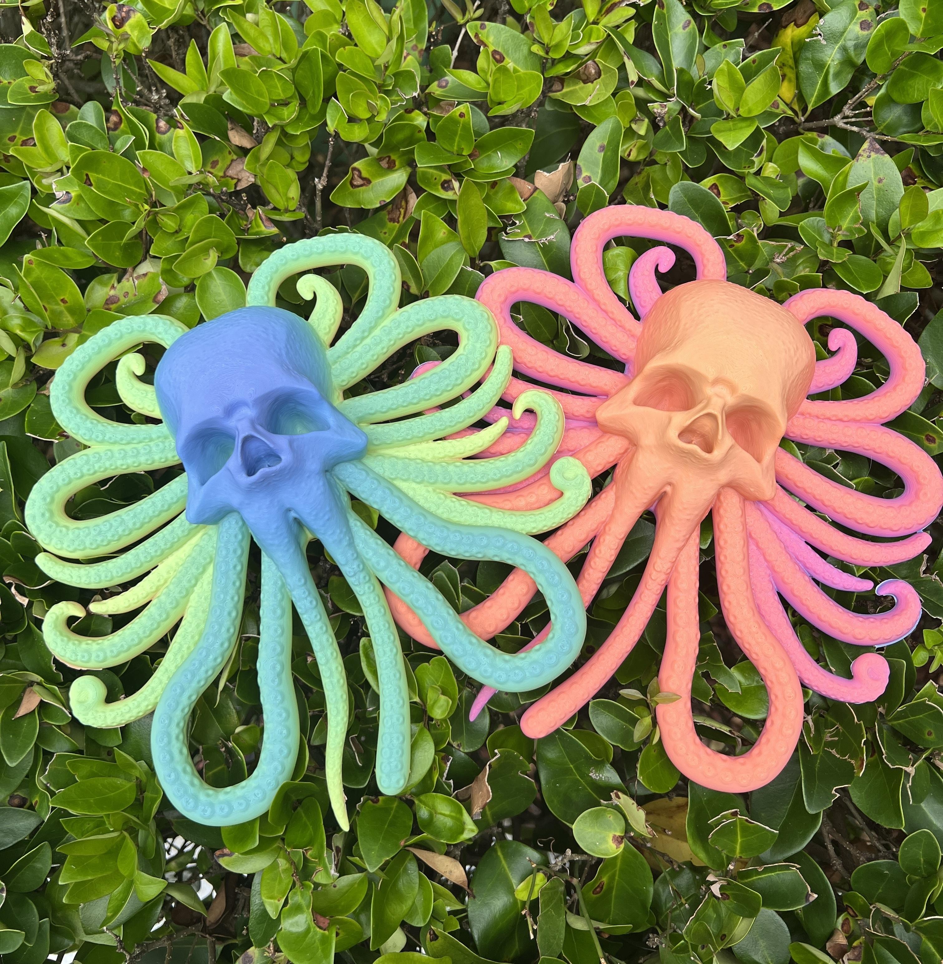 octopus Skull.stl 3d model