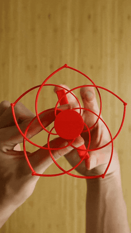 compliant reverse Iris 3d model