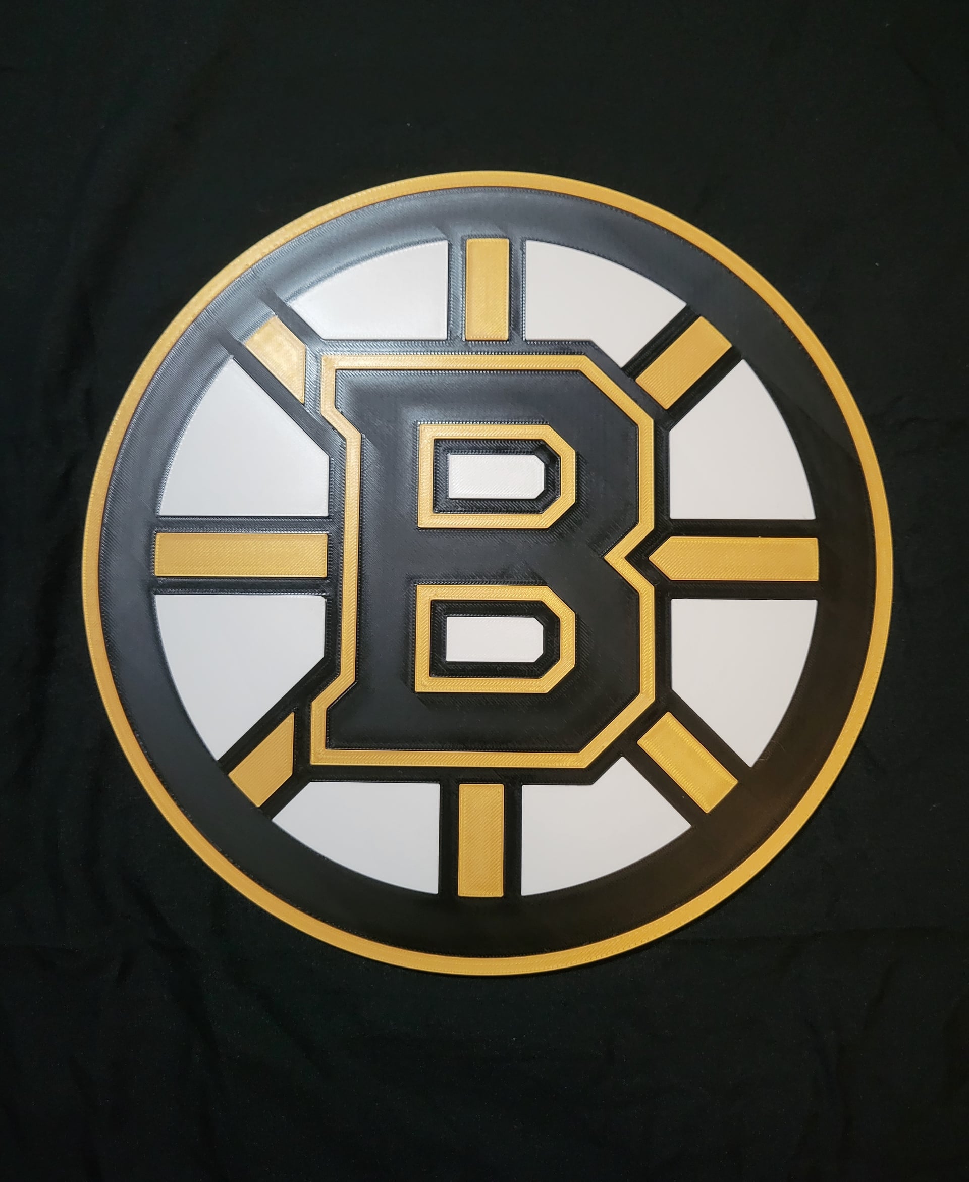 Boston Bruins 3d model
