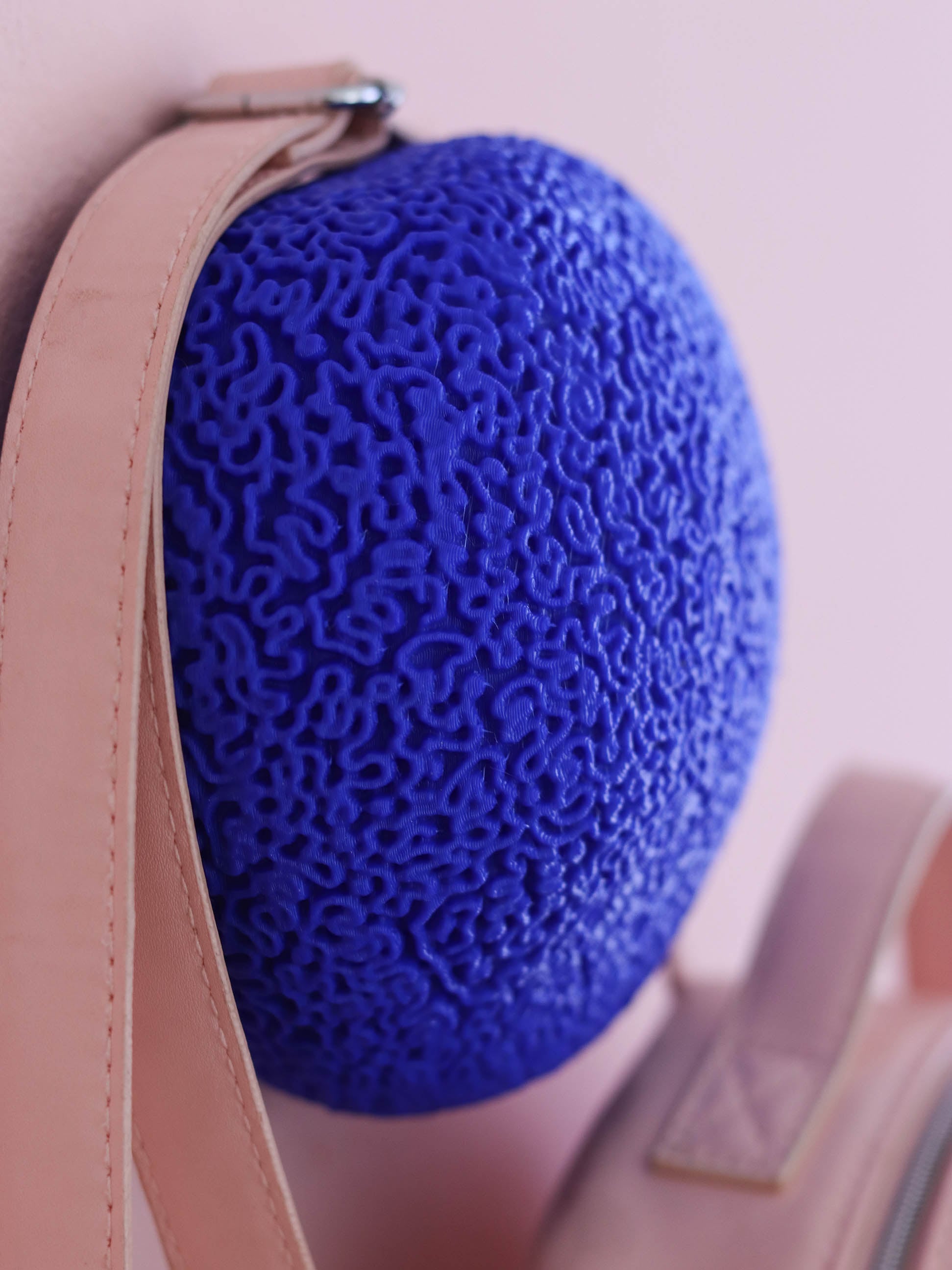 Brain Coral | Wall Mounted 3d model