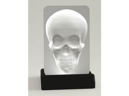 Optical illusion - Murray the tracking Skull 3d model