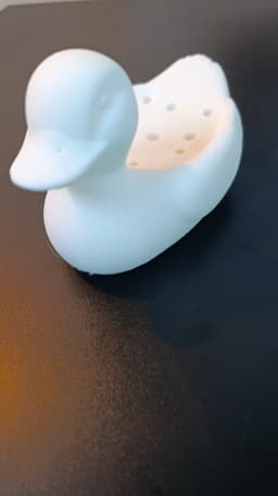 Duck-shaped soap holder 3d model