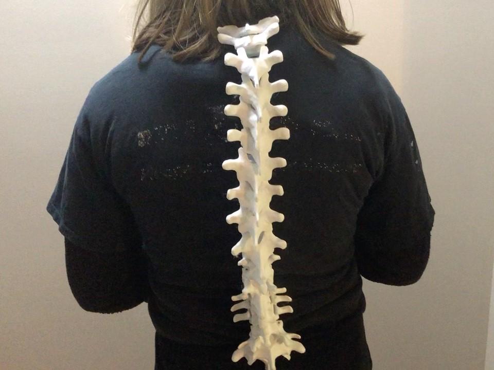 Wearable Spine 3d model