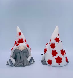 Fall lce Skate Gnome 3d model
