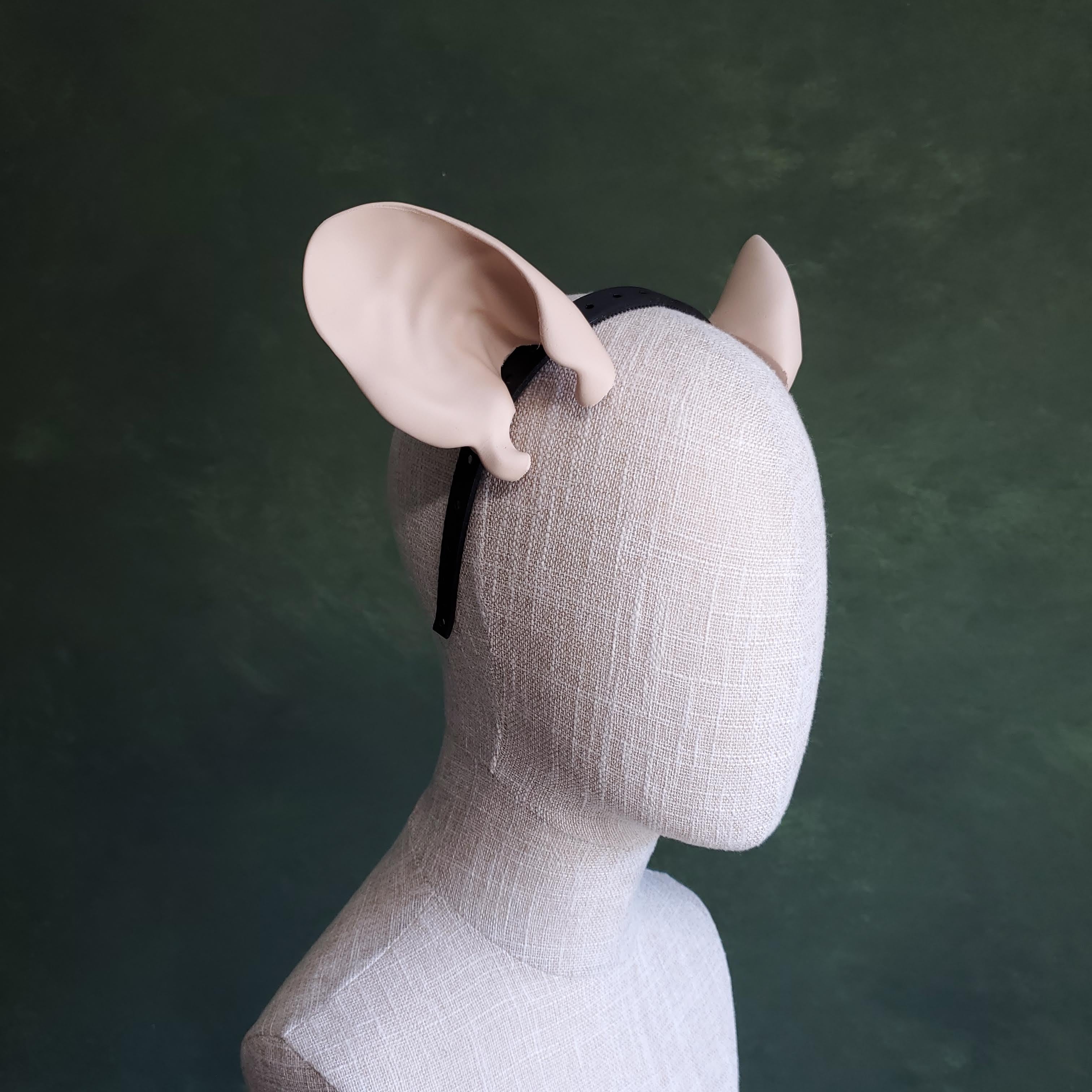 Rat Ears - Round 3d model