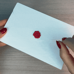 Gift Envelope, for letters or money, CUSTOM TEXT! 3d model