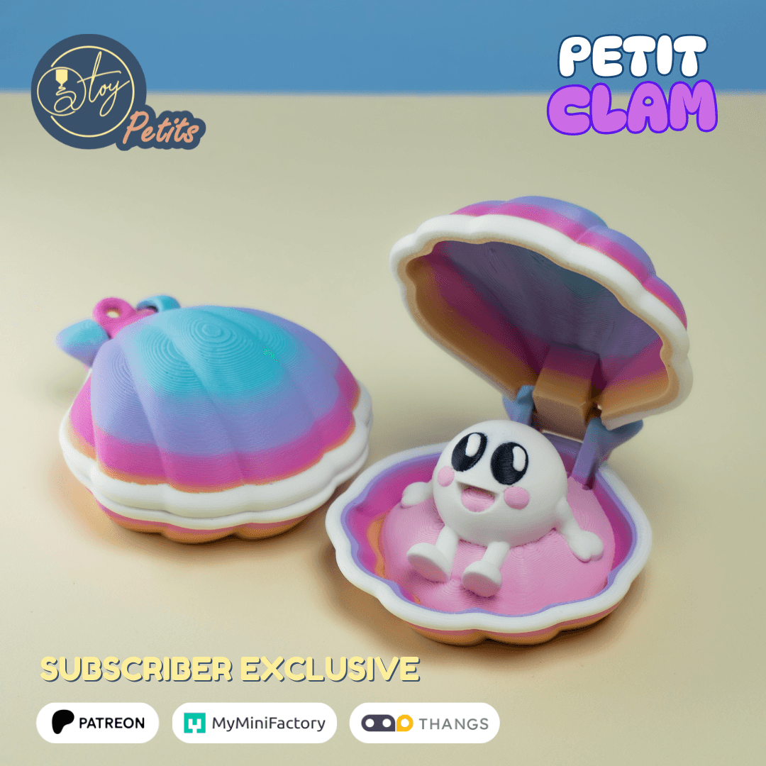 Petit Clam 3d model