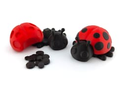 Ladybug 3d model