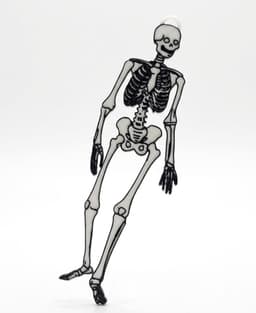 Skeleton With Loop 3d model