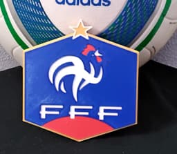 France national football team coaster or plaque 3d model