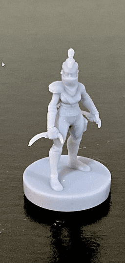Female Rogue 35mm DnD Mini 3d model