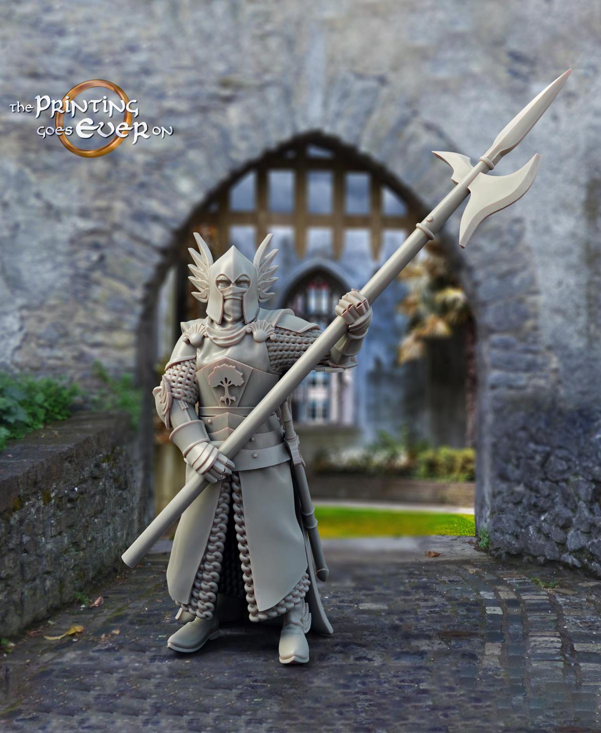 King's Guard  3d model