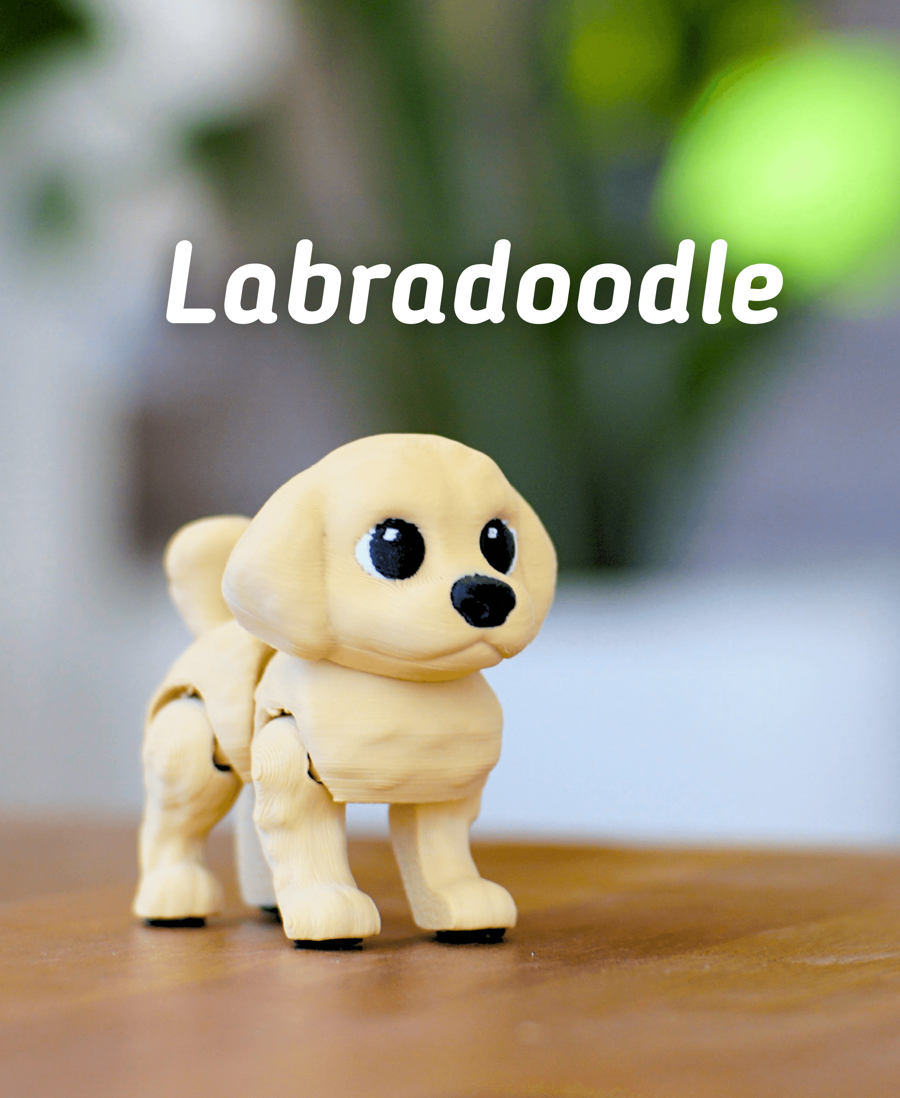 Labradoodle - Articulated Fidget Dog 3d model