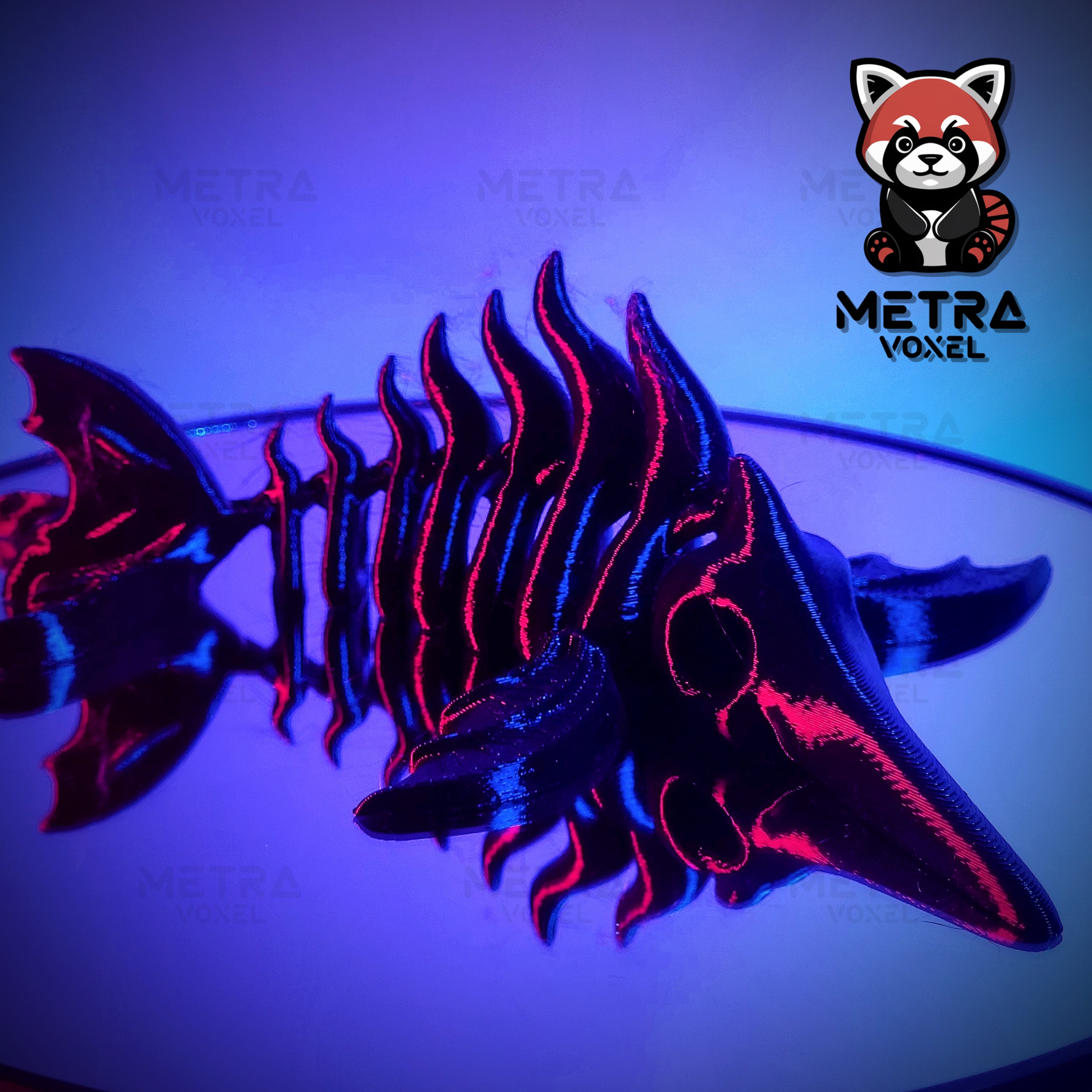 Swordfish Skeleton 3d model