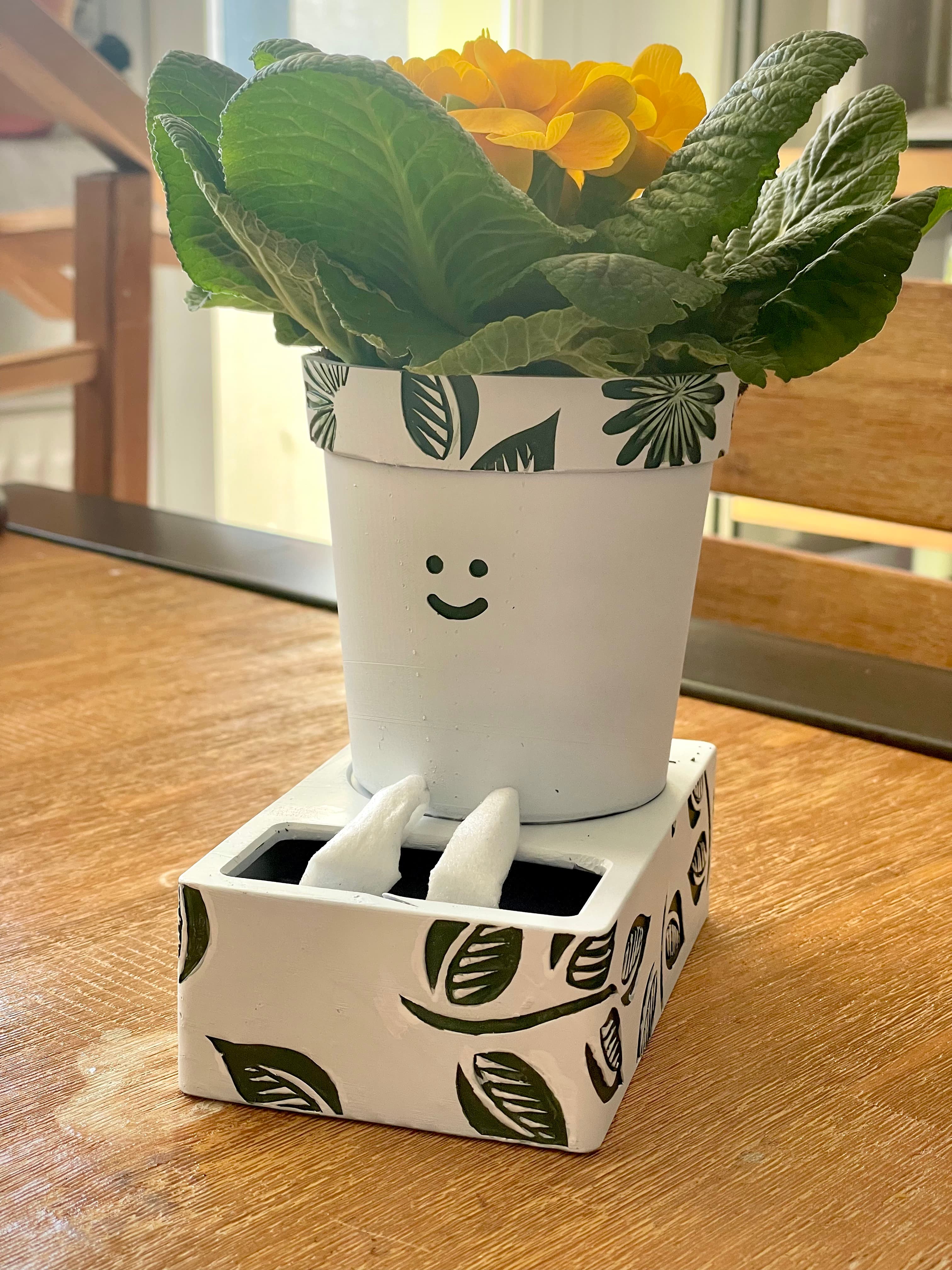 Cute Self-Watering Planter 3d model