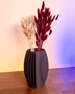 Volos - a 270° vase 3d model