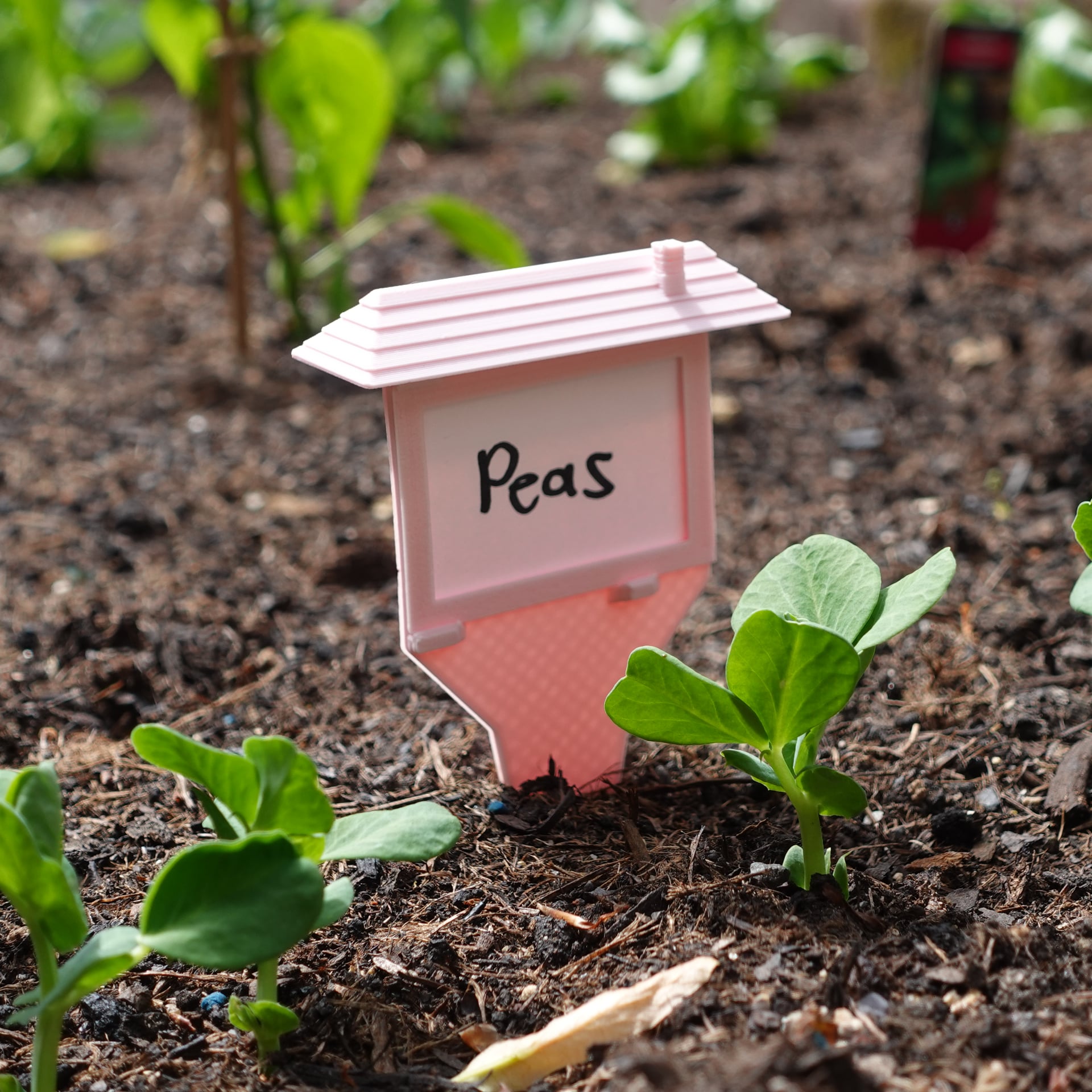 Plant label 3d model