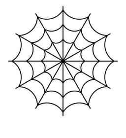 Spiderweb 3d model