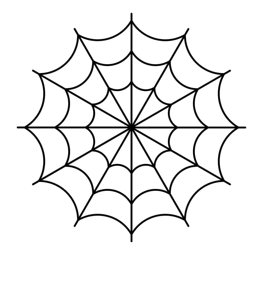 Spiderweb 3d model