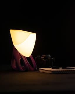 Nu Lamp – Led Kit 001 | 3D Printed Table Lamp with Geometric Shade and Organic Base 3d model