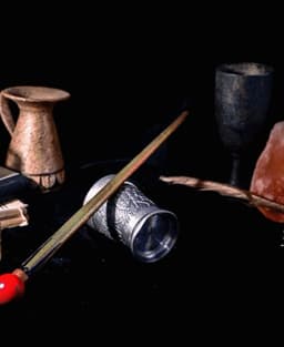Skender's Wand - Harry Potter 3d model