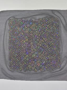 Snakeskin v1 3d model