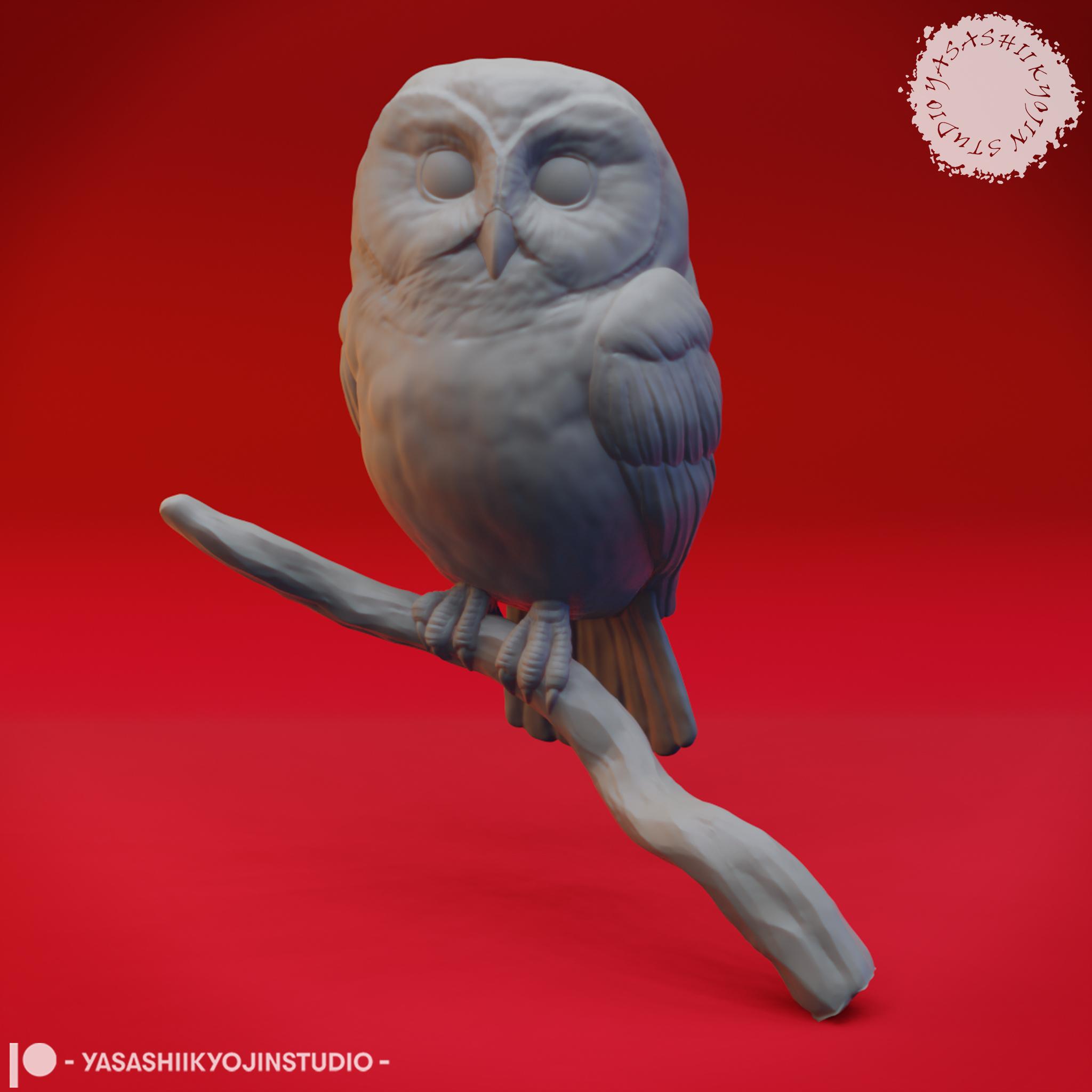 Northern Saw Whet Owl - Bust (Pre-Supported) 3d model