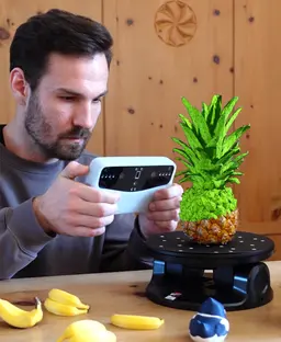 Pineapple coasters 3d model