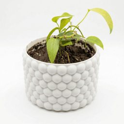 Bubble Planter 3d model