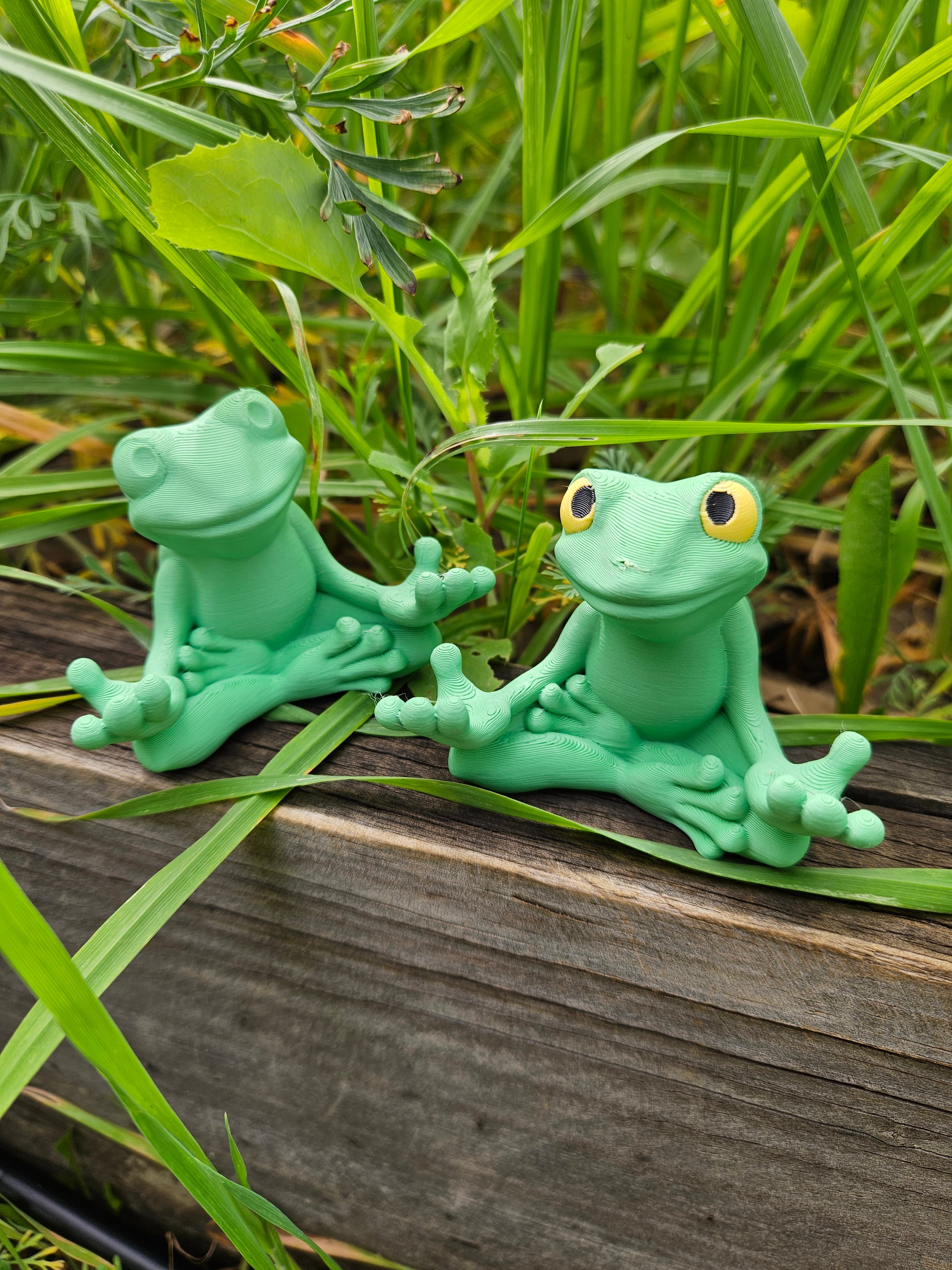 Pen holder Frog buddy 3d model