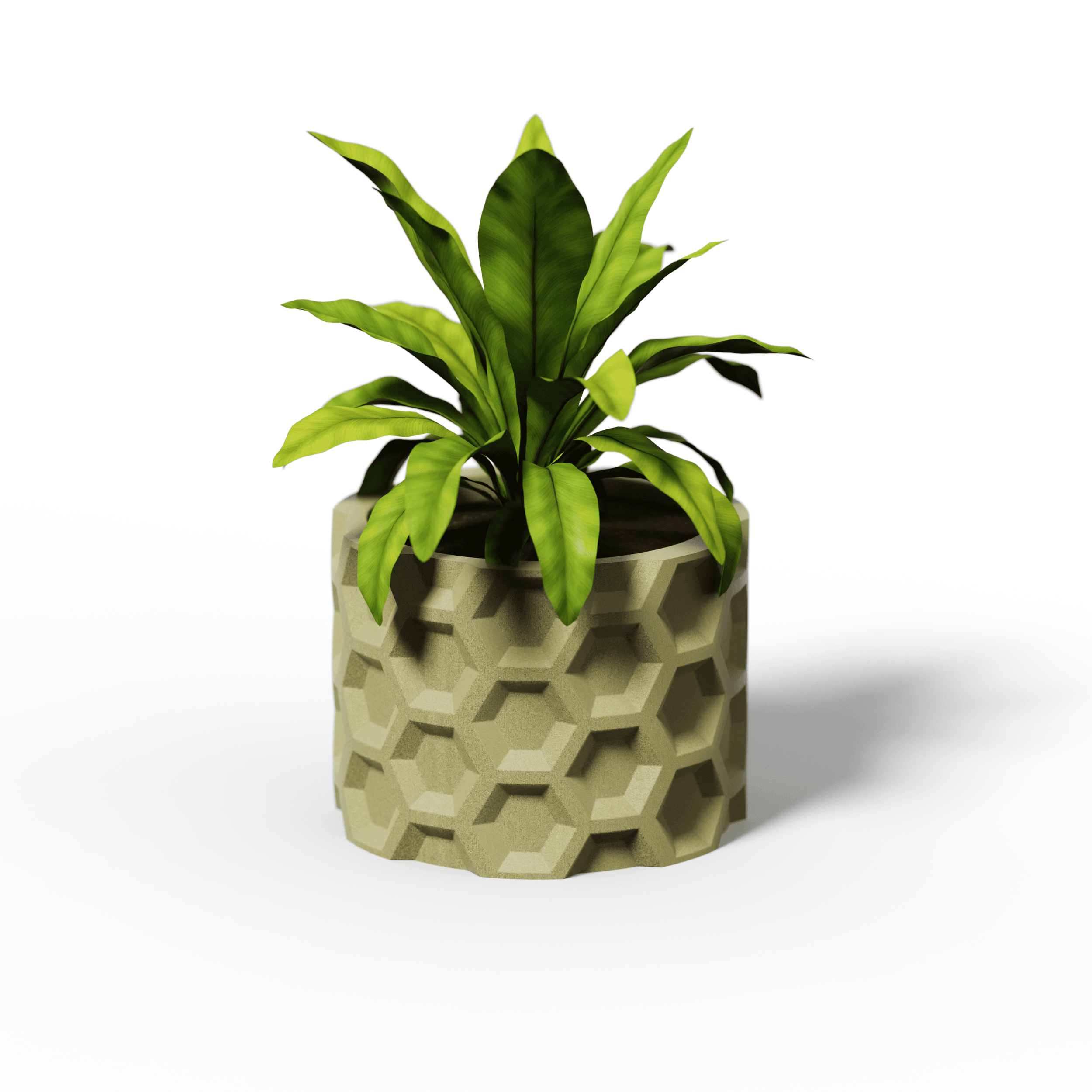 HEX Collection - Planter Set 3d model