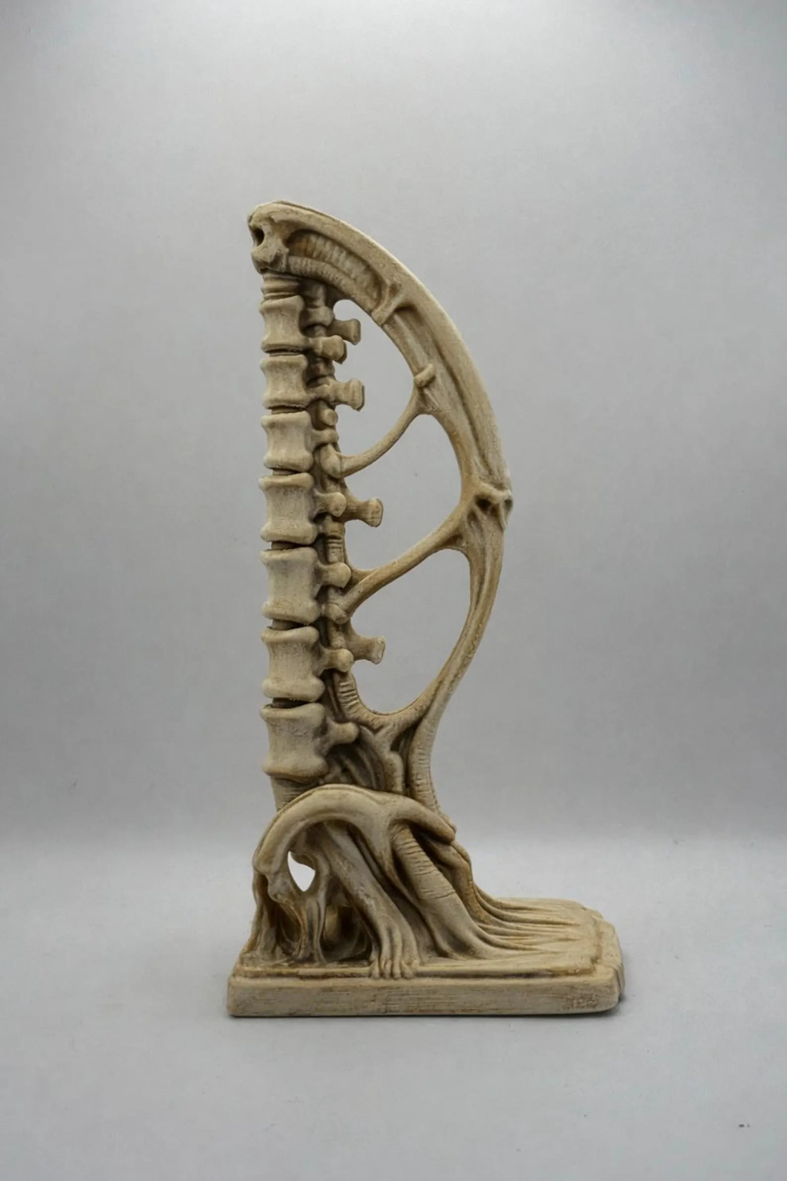 Vertebrae Bow Bookends 3d model