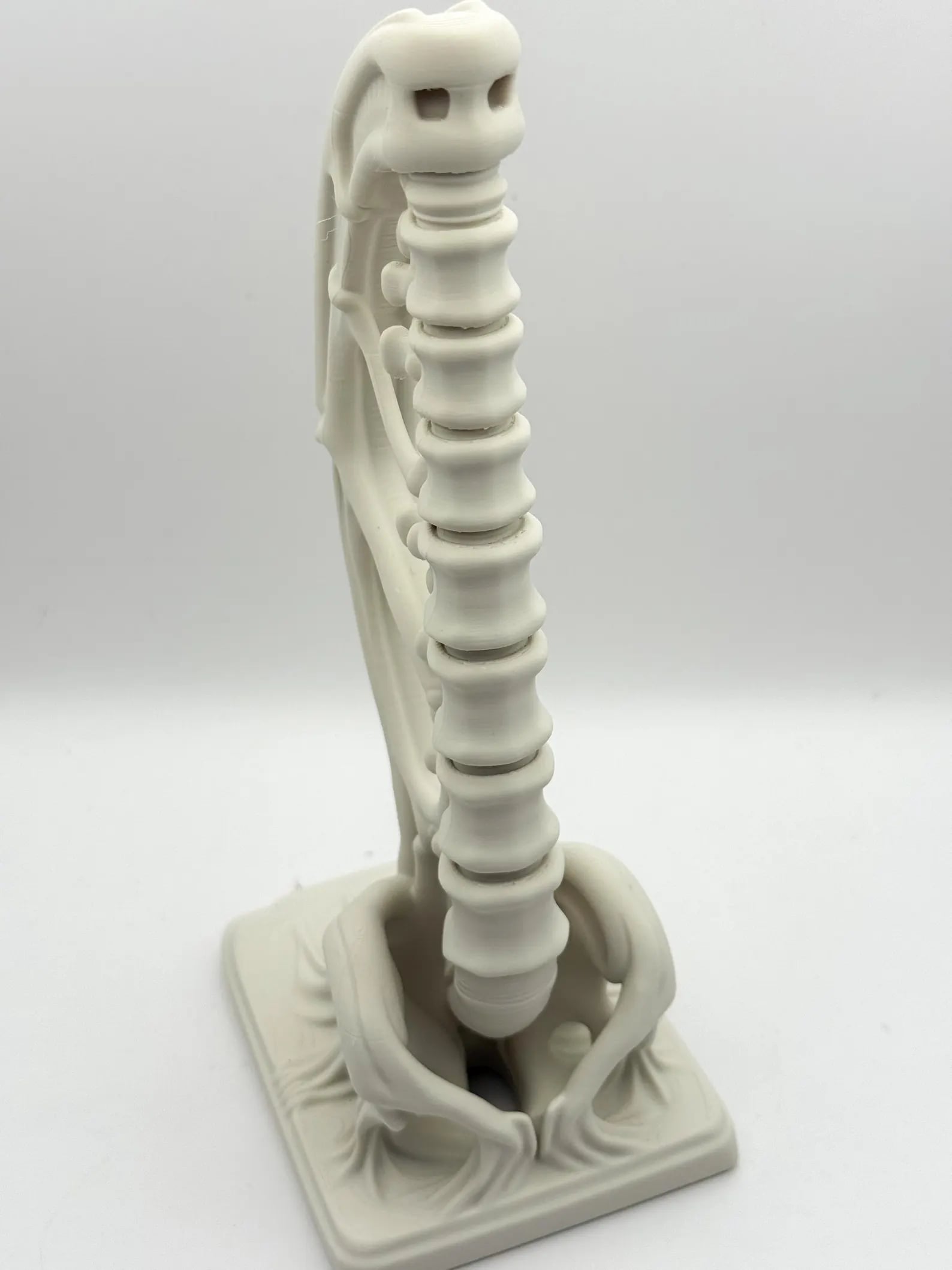 Vertebrae Bow Bookends 3d model