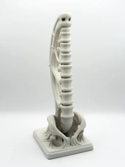 Vertebrae Bow Bookends 3d model