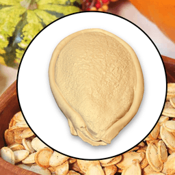 Realistic Halloween Fall Pumpkin Seeds (2 versions) 3d model