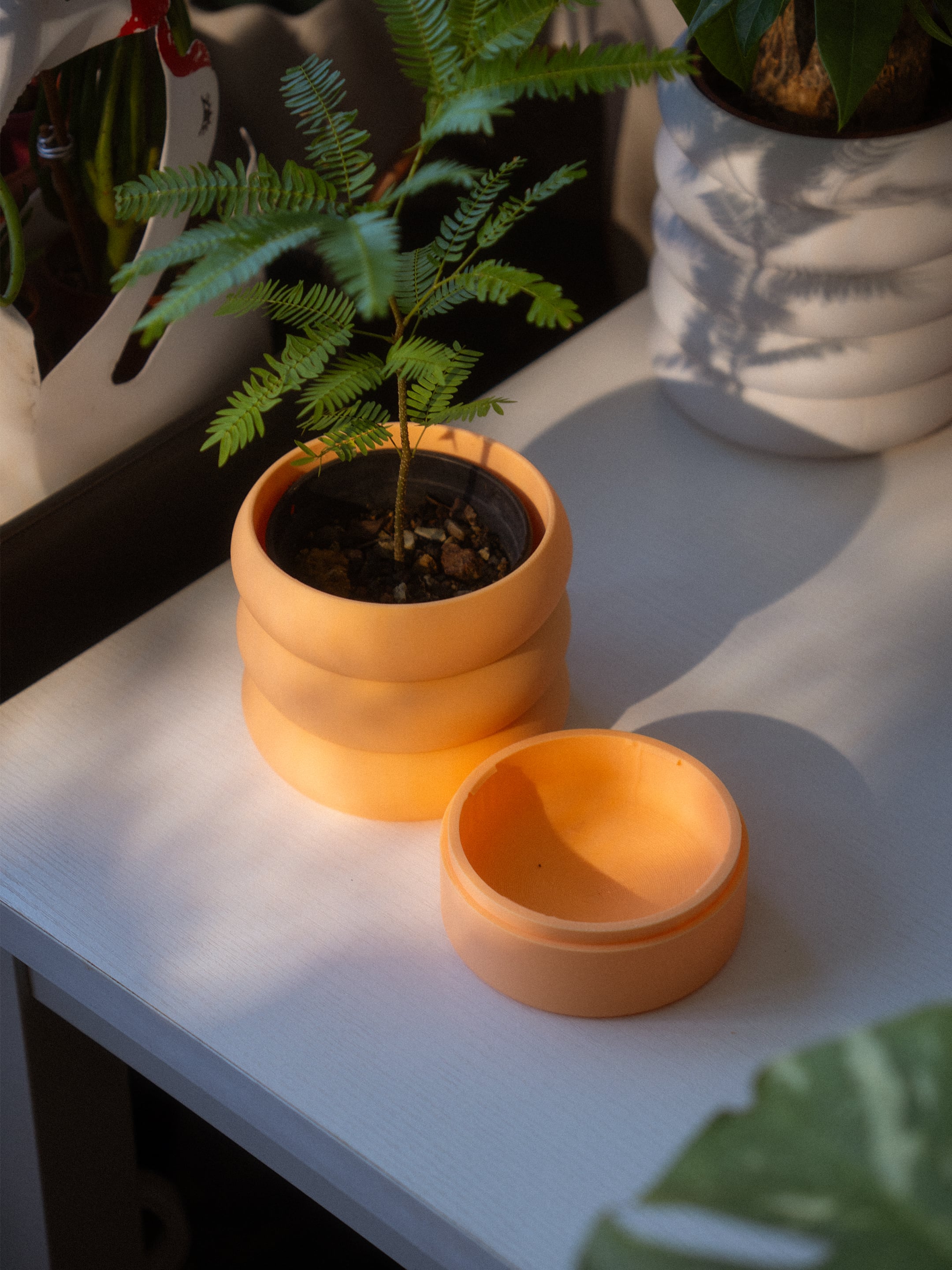 Bubble Planter 3d model