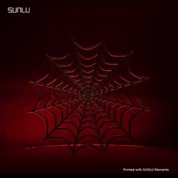 Spider Web_SUNLU 3d model