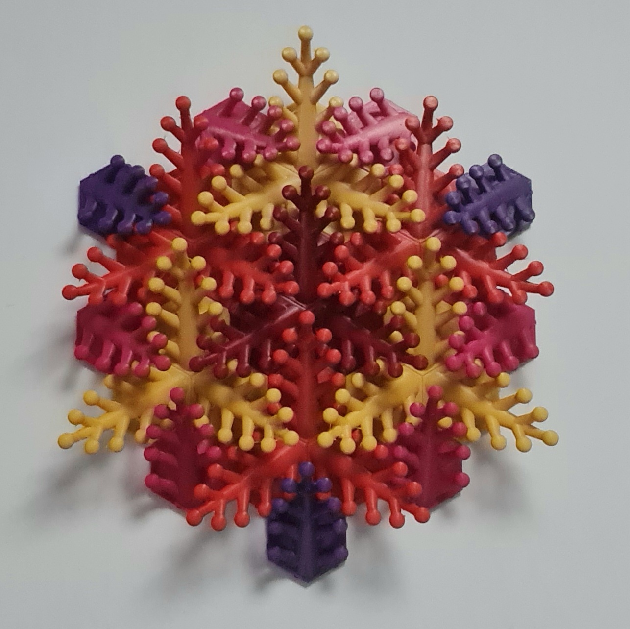 Coral Snowflake Wall Sculpture 3d model