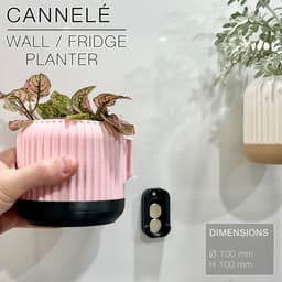 CANNELÉ | Wall/fridge Planter 3d model