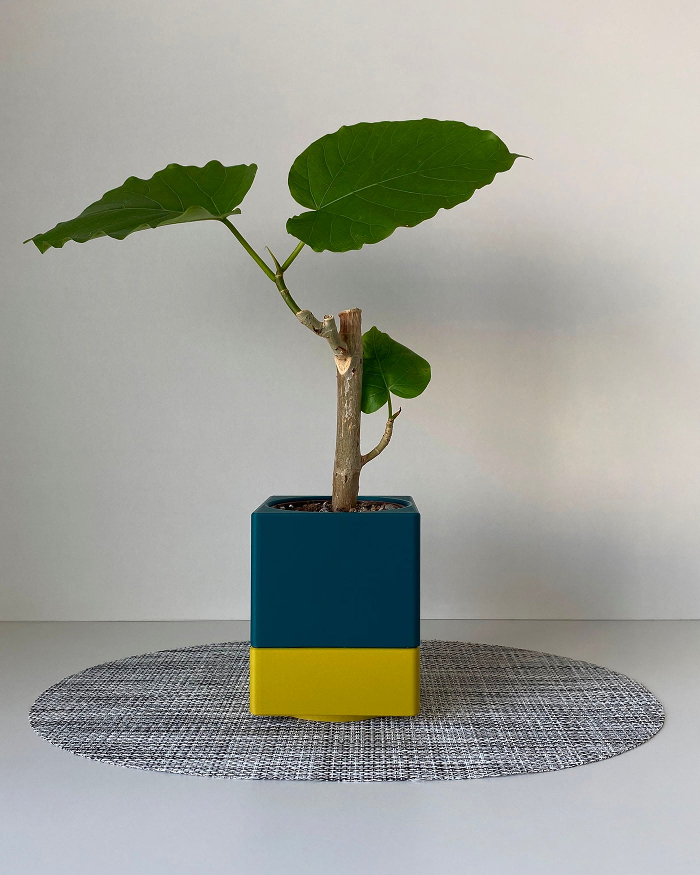 Mini Planters Set With Drainer and Drip Tray 3d model
