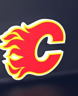 Calgary Flames - LED Strip compatible 3d model