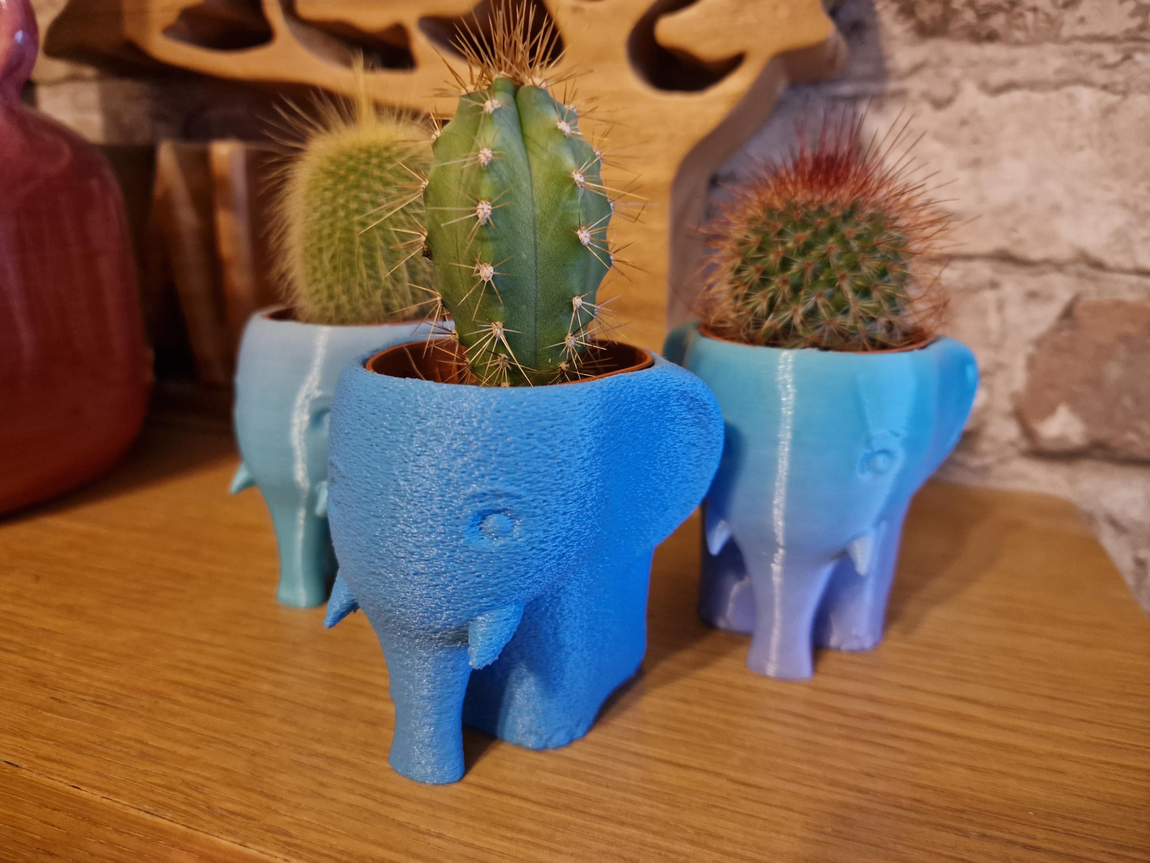 Elephant Succulent Planter 3d model
