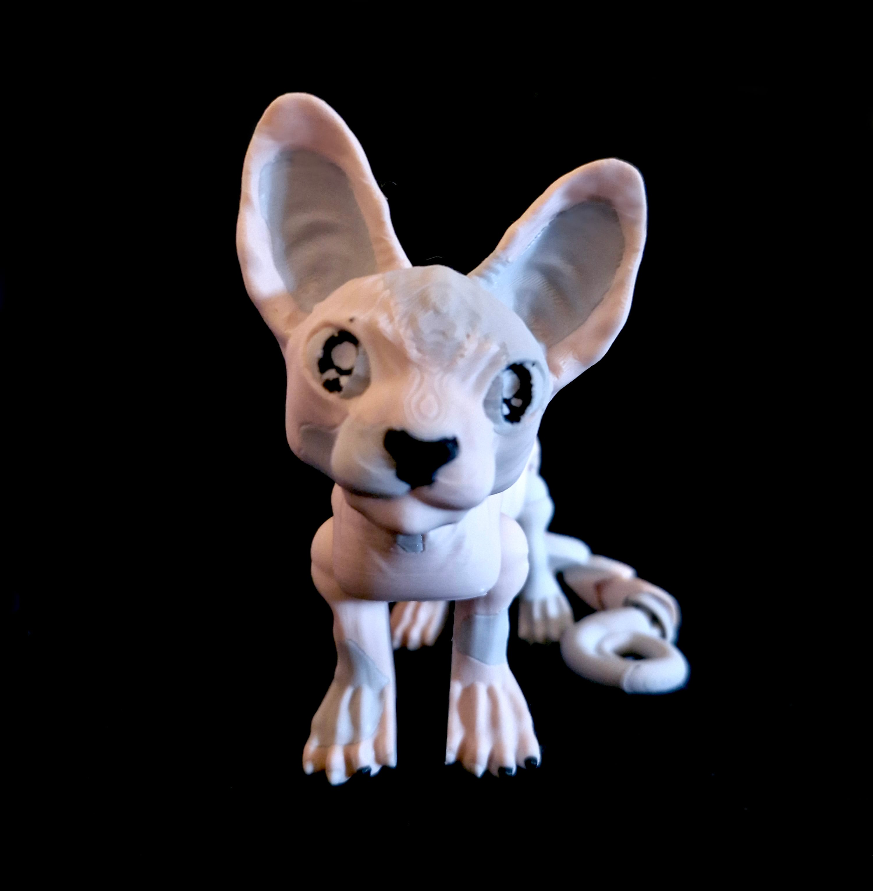 Sphynx Cat *Commercial Version* 3d model